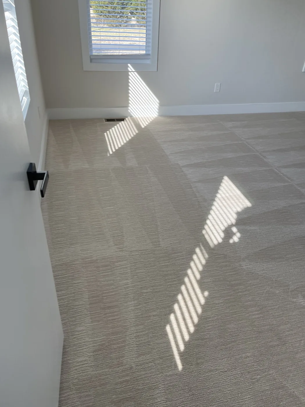 Shiny Carpet Cleaning project 1