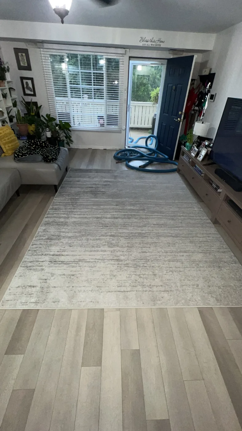 Shiny Carpet Cleaning project 2