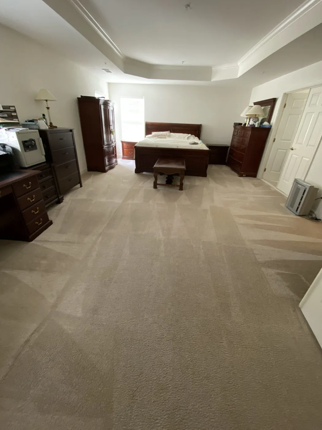 Shiny Carpet Cleaning project 24