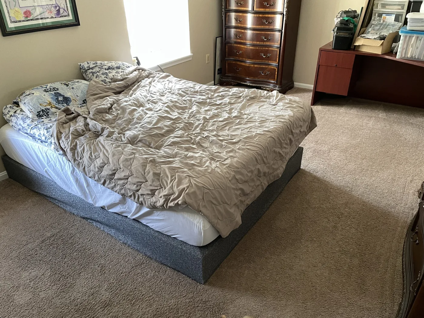 Shiny Carpet Cleaning project 33