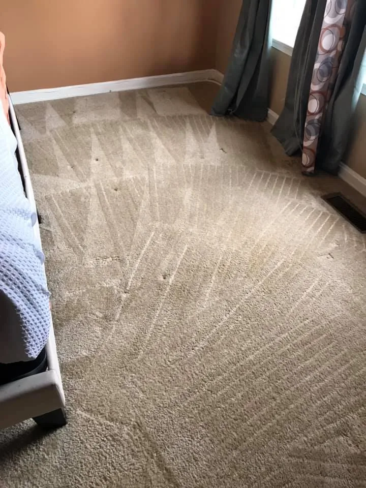 Shiny Carpet Cleaning project 34