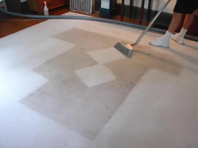 Shiny Carpet Cleaning project 60