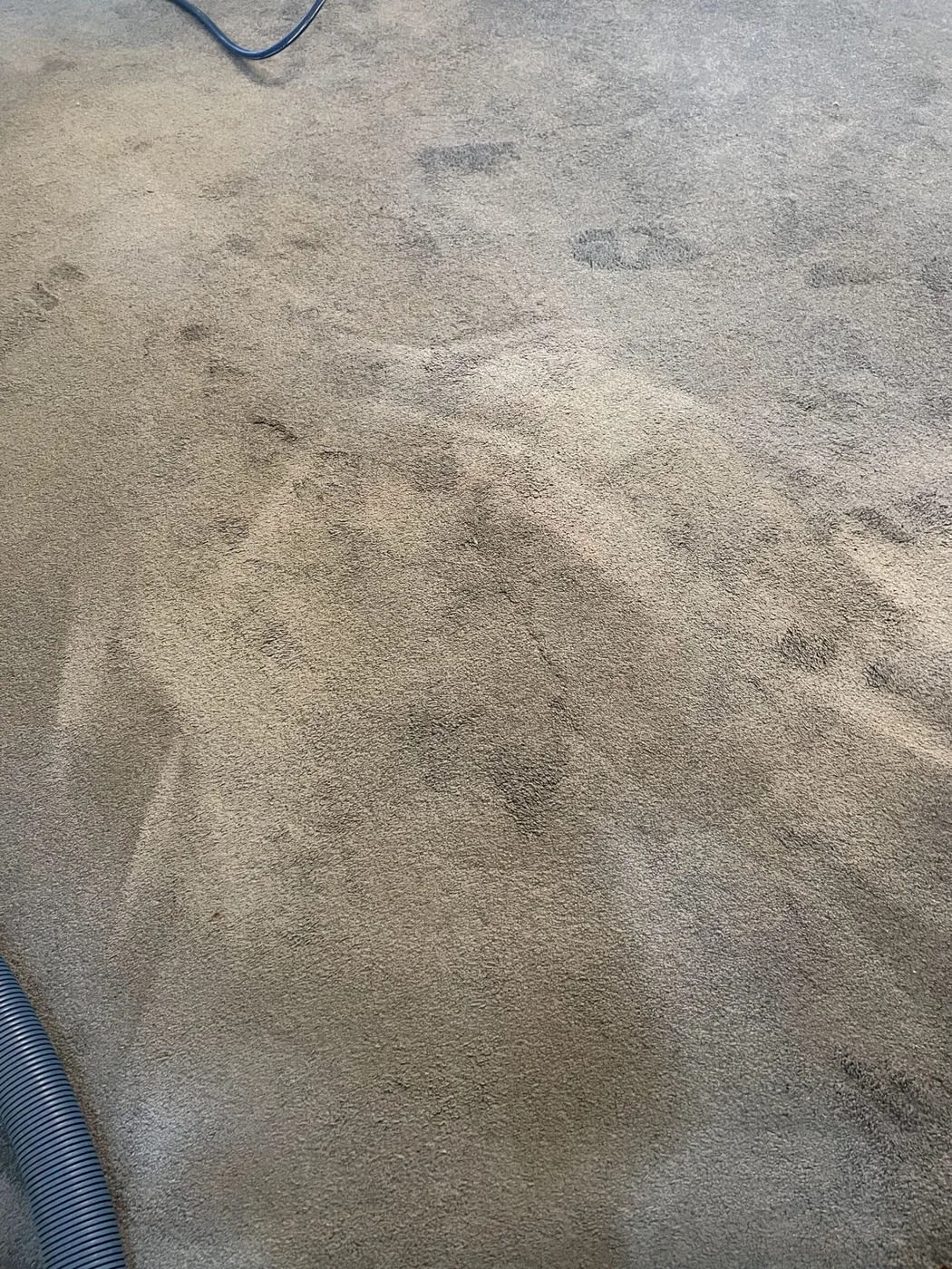 Shiny Carpet Cleaning project 61