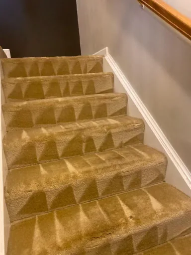 Shiny Carpet Cleaning project 64